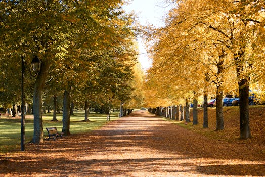 Montereau-Fault-Yonne