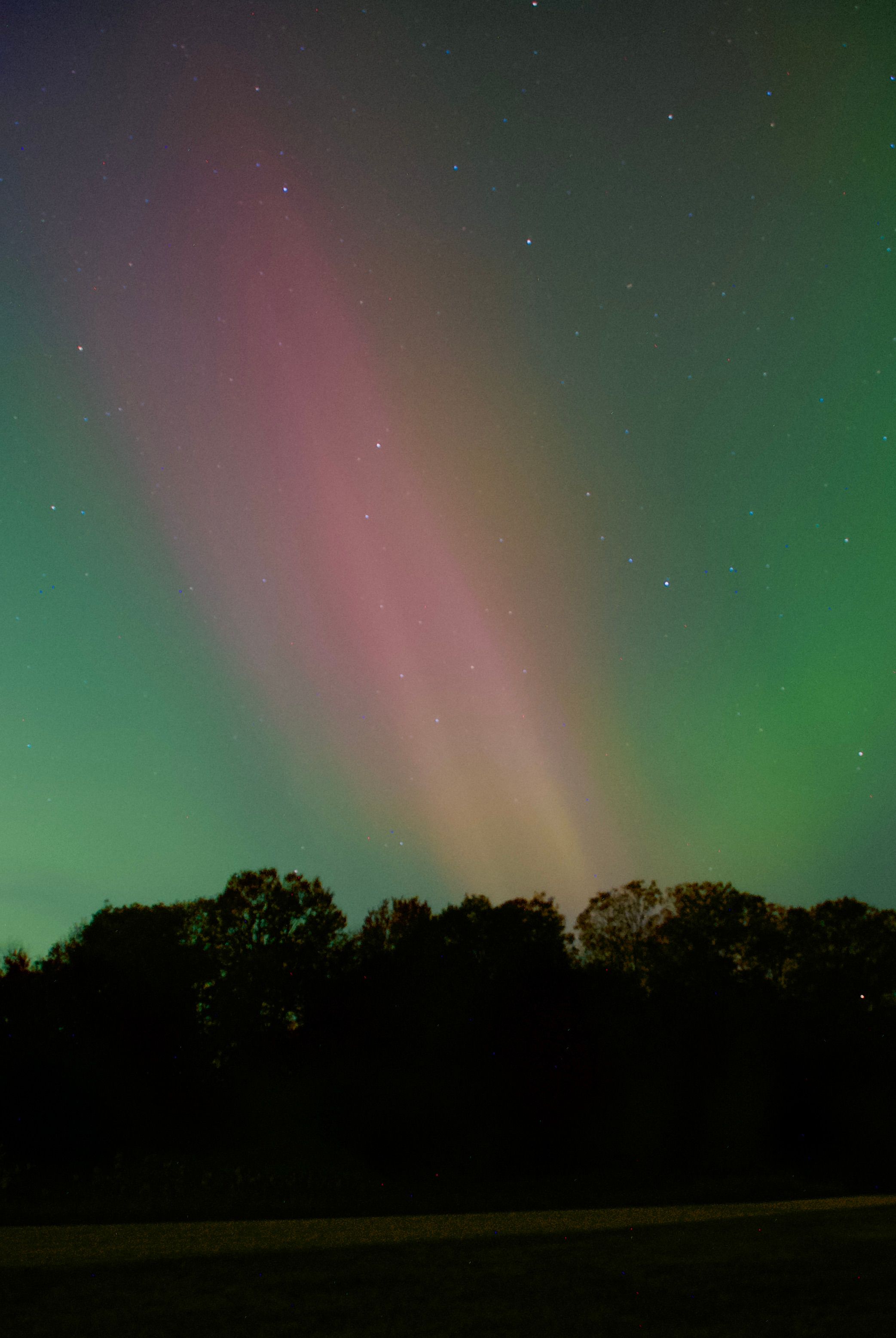 Enchanting Aurora Borealis Over Forest Night Sky · Free Stock Photo