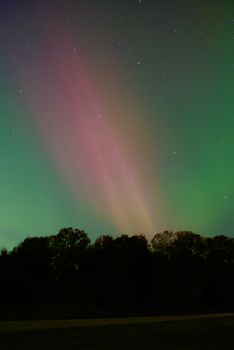 Stunning capture of vibrant aurora borealis illuminating the night sky over a silhouetted forest.