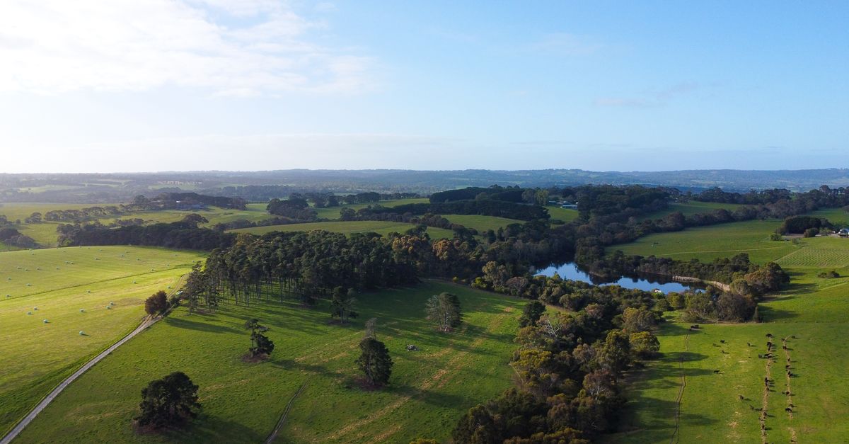 A stunning aerial shot capturing expansive green fields, trees, and a serene water body in Victoria, Australia.