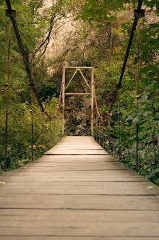A scenic wooden suspension bridge in a lush forest at Comuna Petreștii de Jos, Romania.