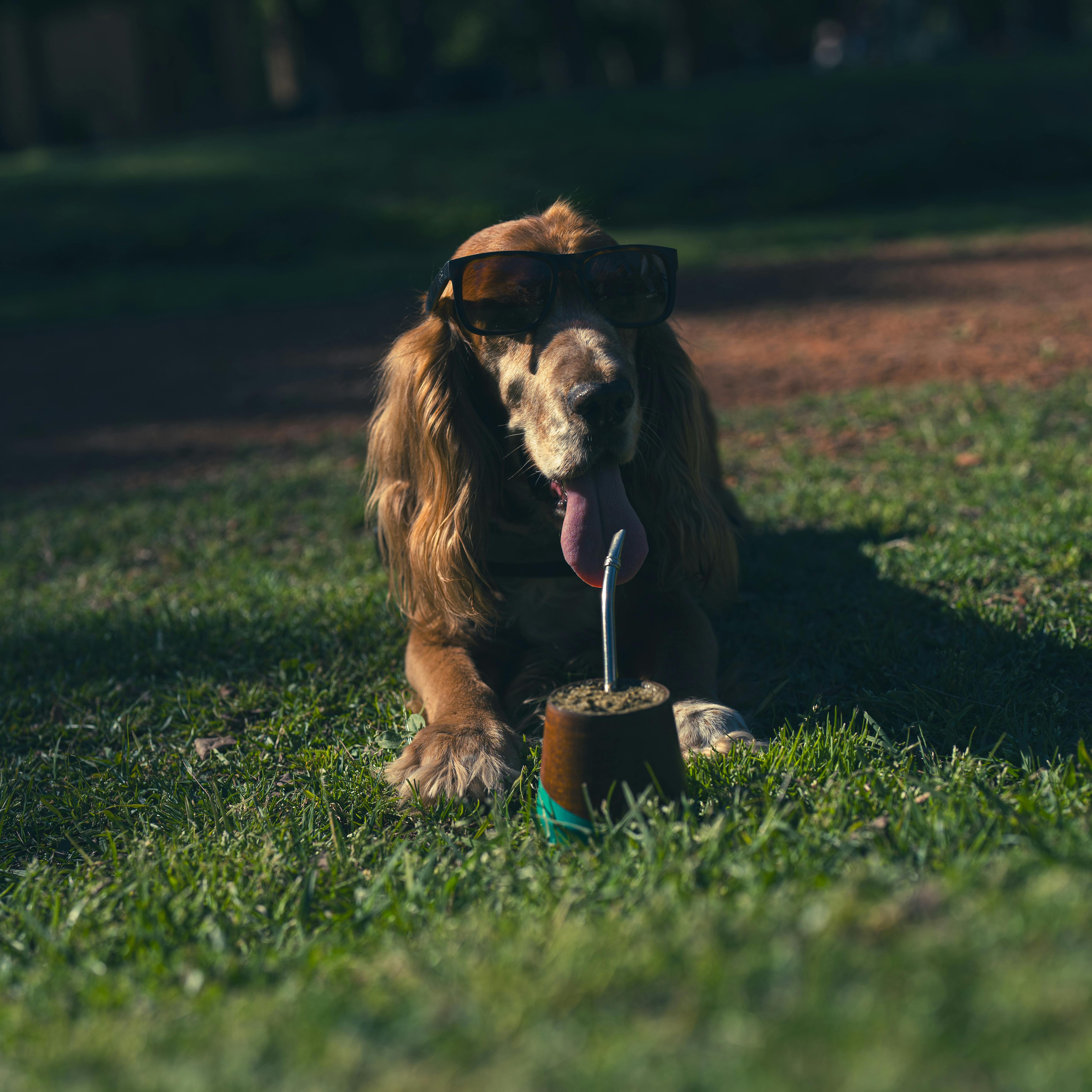 Lunchtime Laughs:⁢ Lighten Up Your Day‌ with⁢ Hilarious⁣ Clips