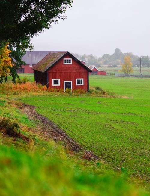Free Charming red barn surrounded by lush fields and autumn foliage in Gränna, Sweden. Stock Photo
