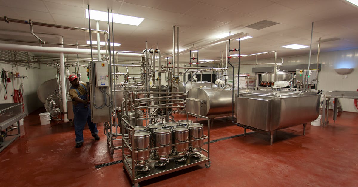 Milk Processing in a Factory