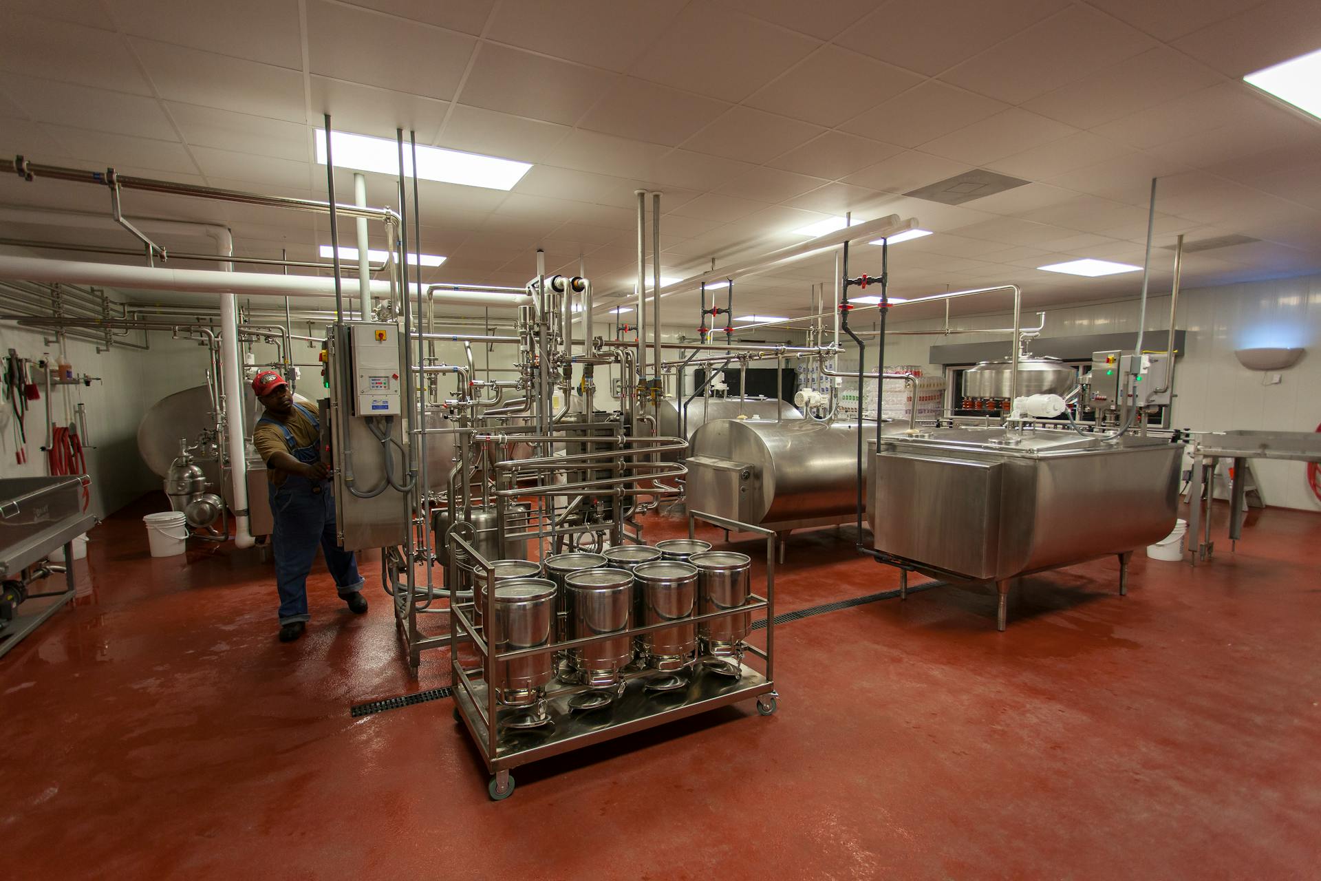 Milk Processing in a Factory