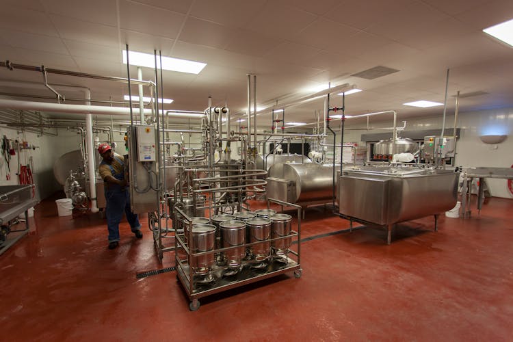 Milk Processing In A Factory