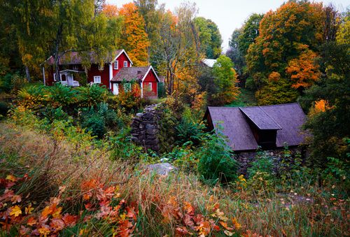 Free Rustic red houses in Jönköpings län with colorful autumn foliage, embody Swedish countryside charm. Stock Photo