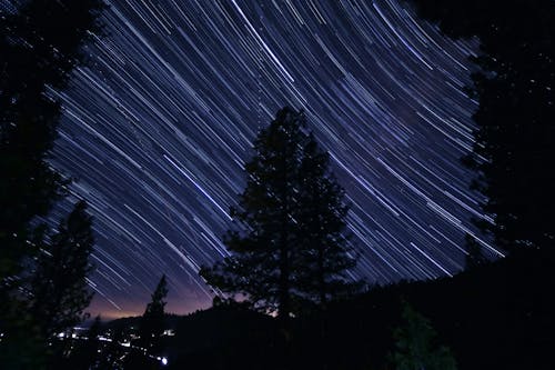 Silhouette of Trees Under A Starry Sky In Timelapse