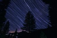 这张壮观的长曝光照片，拍摄的是夜晚宁静森林上空星星的轨迹