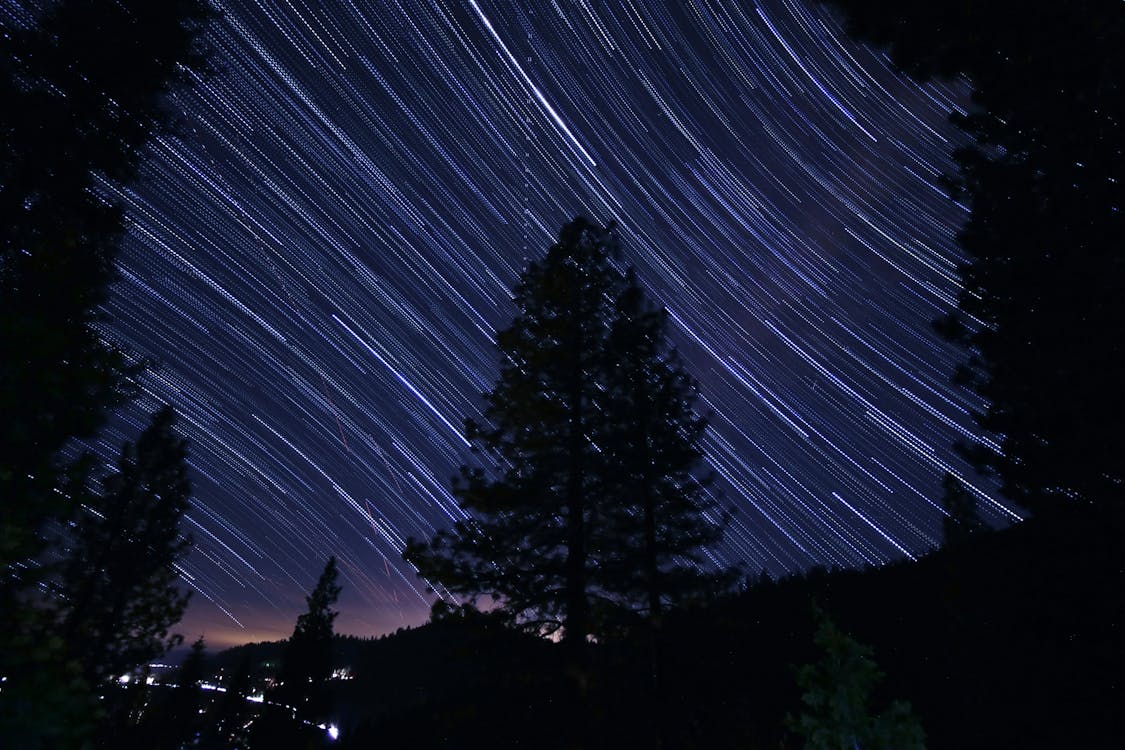Silhouette of Trees Under A Starry Sky In Timelapse