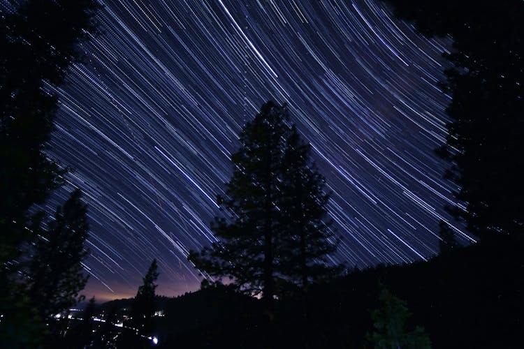 Silhouette Of Trees Under A Starry Sky In Timelapse