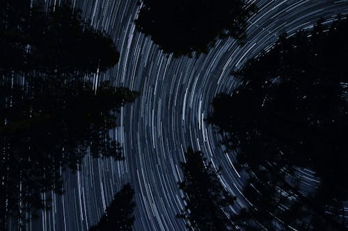免費 樹木和星跡攝影的剪影 圖庫相片