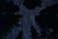 夜晚，迷人的星轨在森林上空上演了一场令人惊叹的天体表演