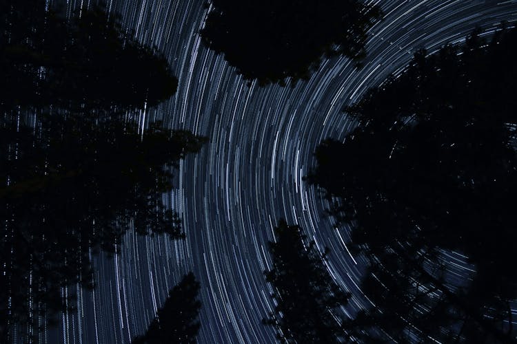 Silhouette Of Trees And Star Trail Photography