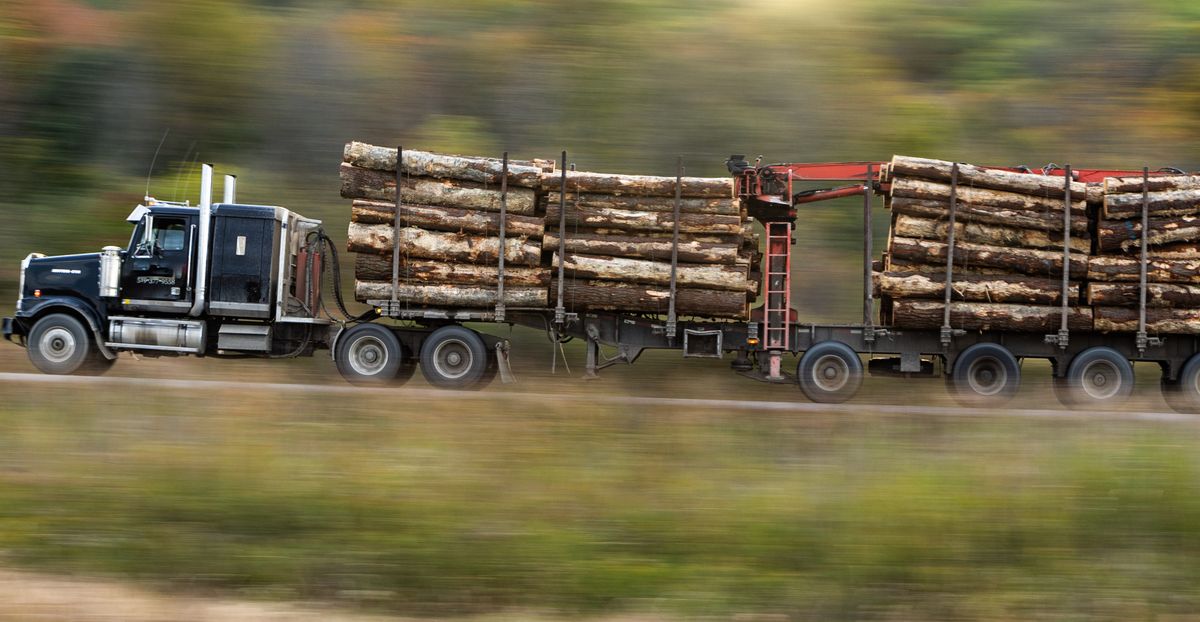 Logging truck driver on a rural highway