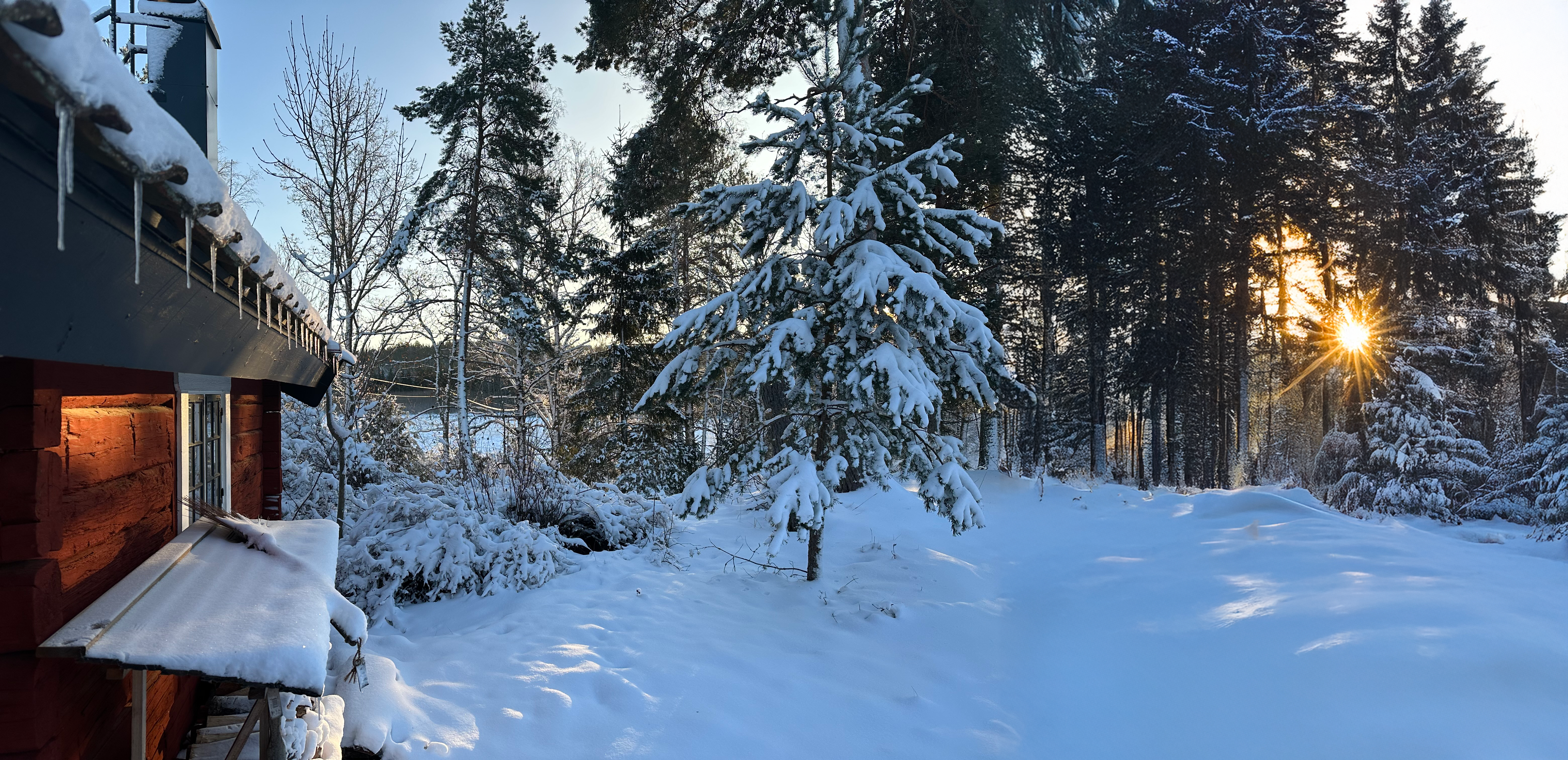 Bosque nevado en el norte de Suecia