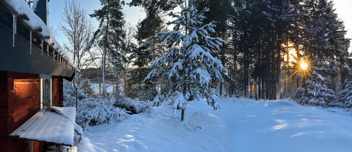 Bosque nevado en el norte de Suecia