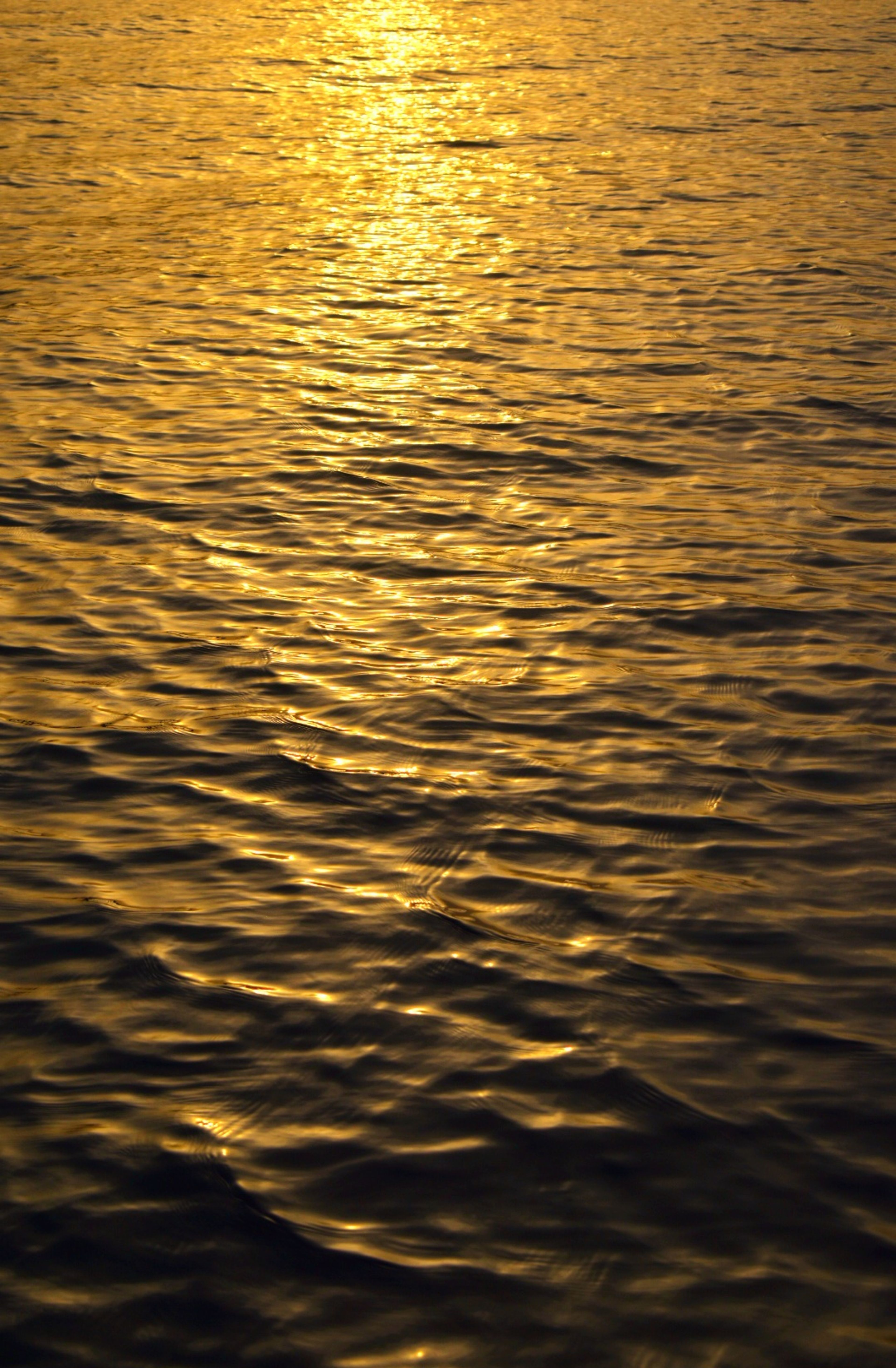 Golden Sunset Reflection on Rippled Water · Free Stock Photo