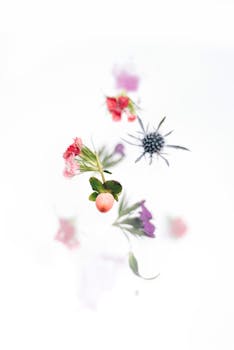 精致的组合花朵在白色背景上优雅地漂浮，充满活力