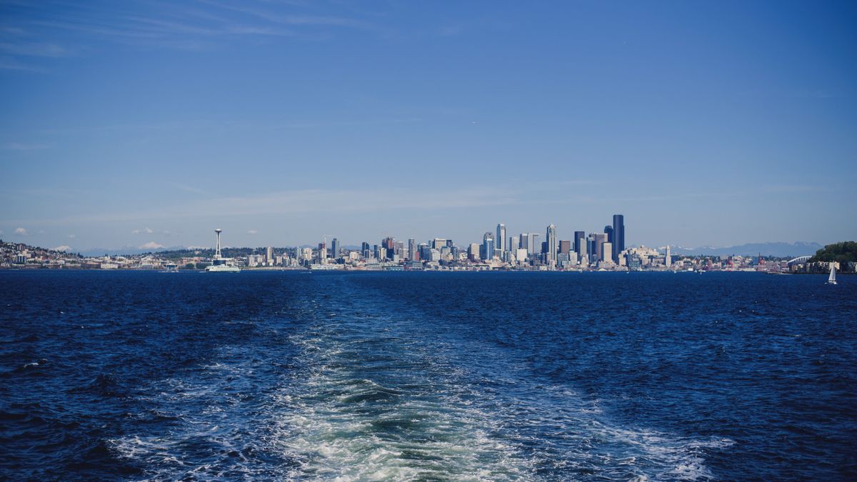 Pet Product Giveaways in Seattle, WA: Updated 2026 List for Local Winners
