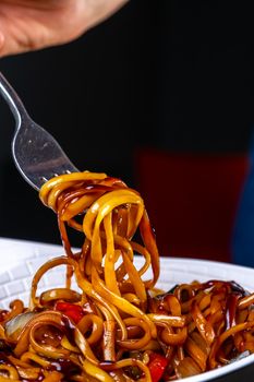 With Pork Lo Mein
