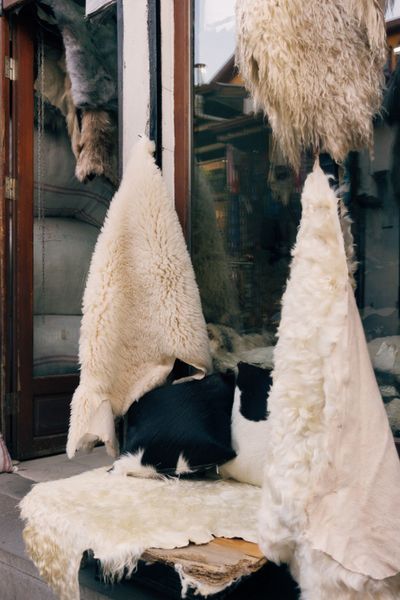Sheepskin (ugg) goods