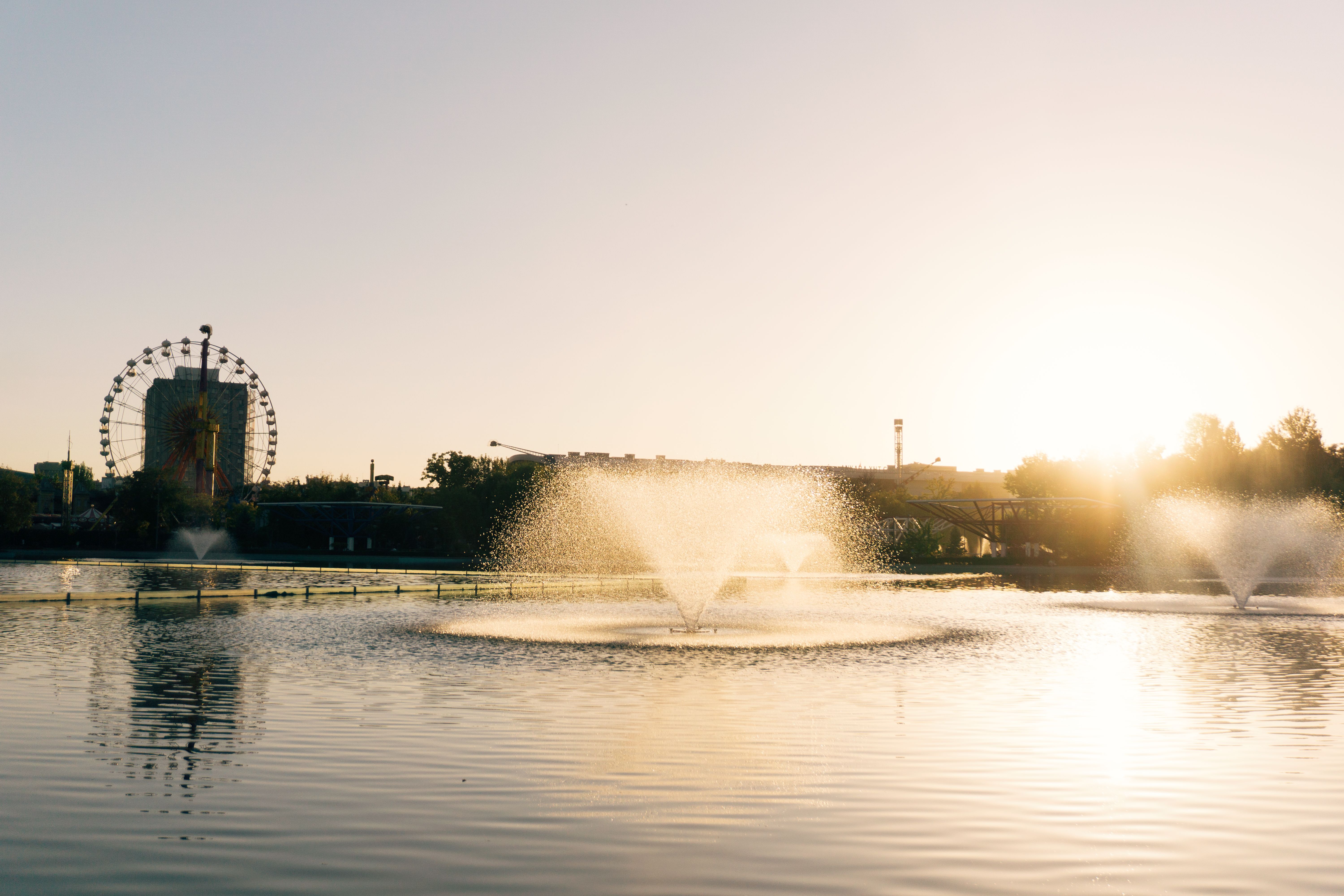 pexels-photo-28896497 Microbe-Lift Large Fountain Clear Two-in-One Water Cleaner & Review: What to Check Before Buying