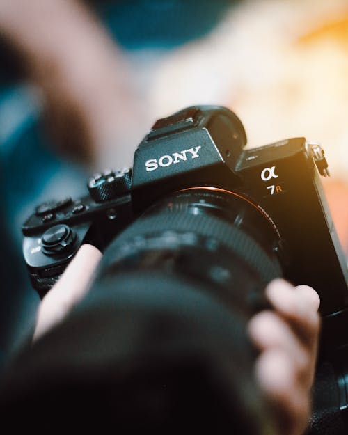 คลังภาพถ่ายฟรี ของ sony, sony a7r2, sony alpha