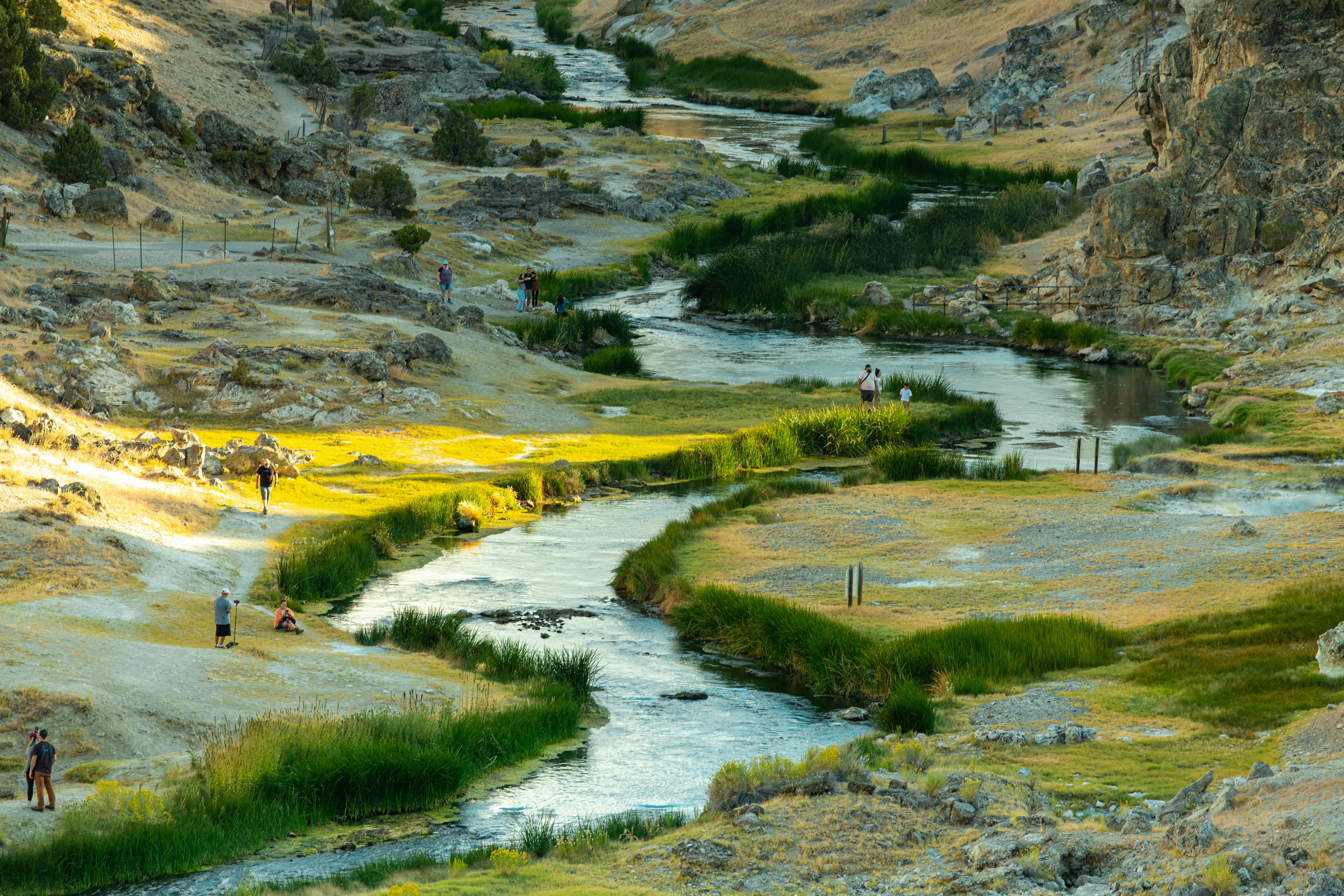Policy Brief: Outdoor Recreation and Public Health — Photo by Stephen Leonardi on Pexels