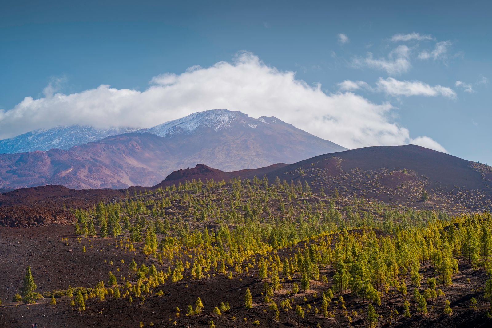 Teide Nationalpark Teneriffa