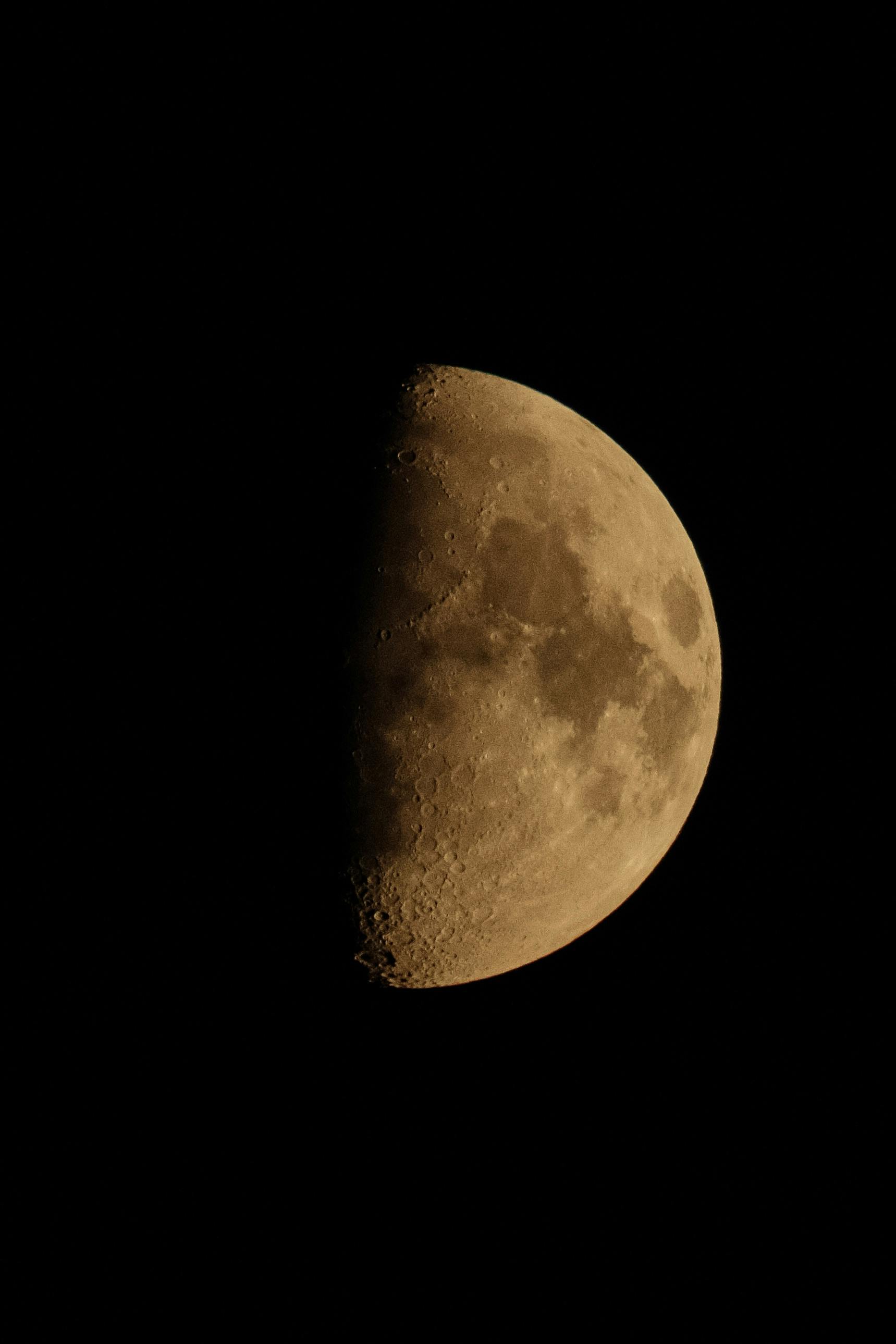 High-resolution image of a half moon showcasing craters against a black night sky.