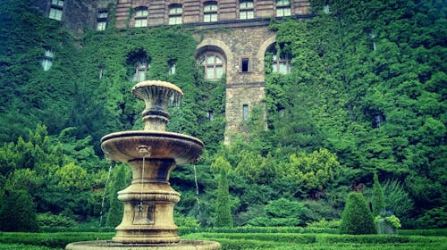 噴泉, 城堡, 常春藤 的 免费素材图片