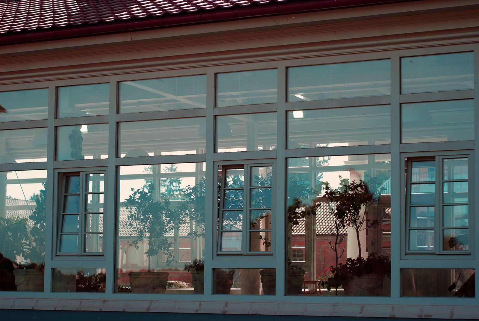 Ventanal contemporáneo reflejando el jardín