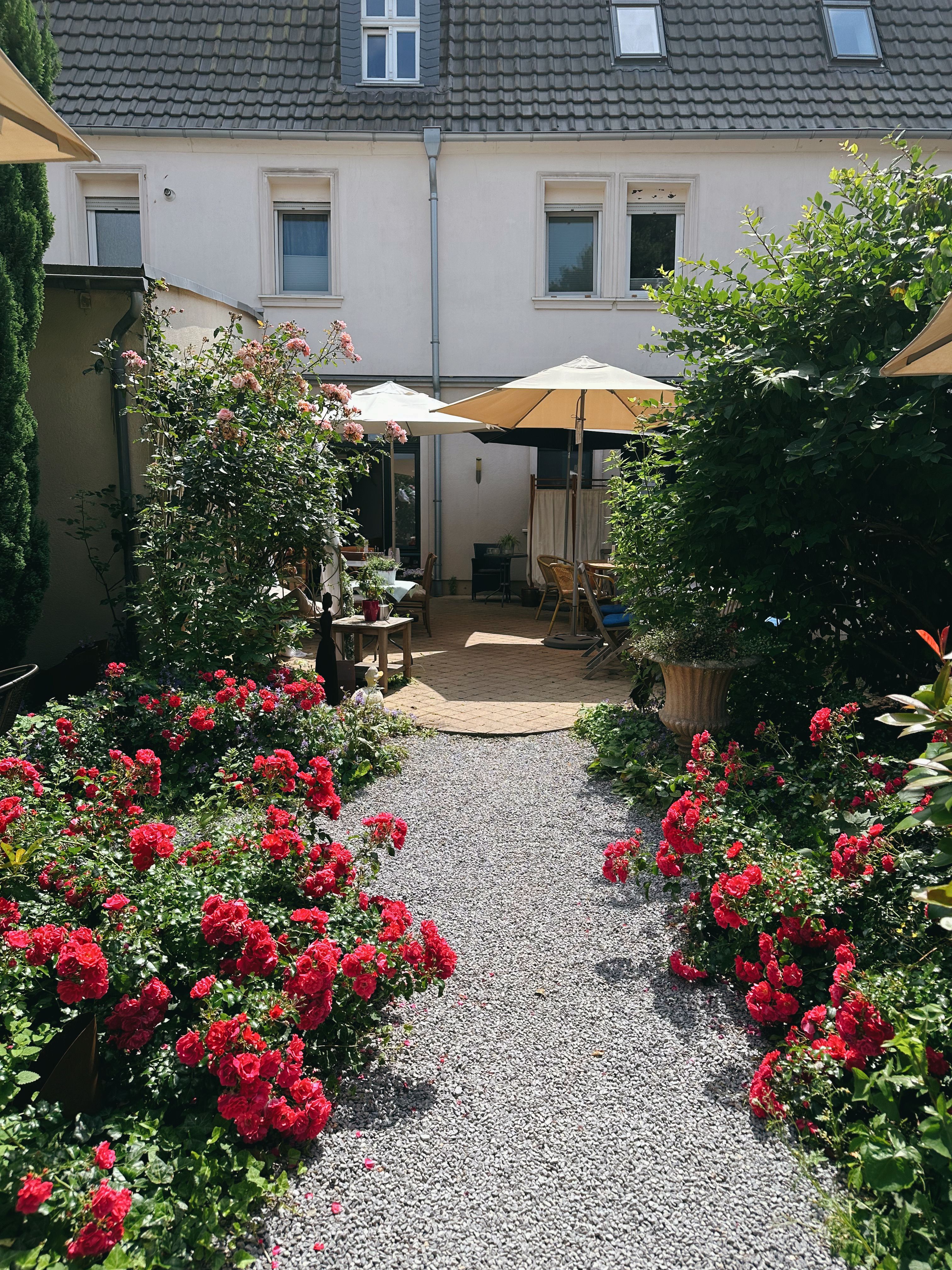 Coin repas aménagé dans un jardin, entouré de rosiers et de haies taillées.