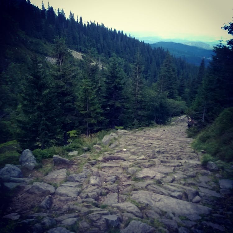 Immagine gratuita di montagna, rocce, sentiero