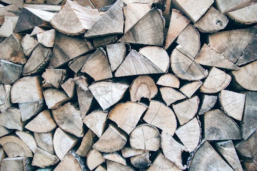 Gratis stockfoto met hout