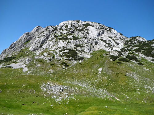 Foto profissional grátis de bico, branco, montanha