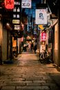 夜晚漫步于大阪繁华的小巷，传统灯笼与活泼的招牌将这里点亮