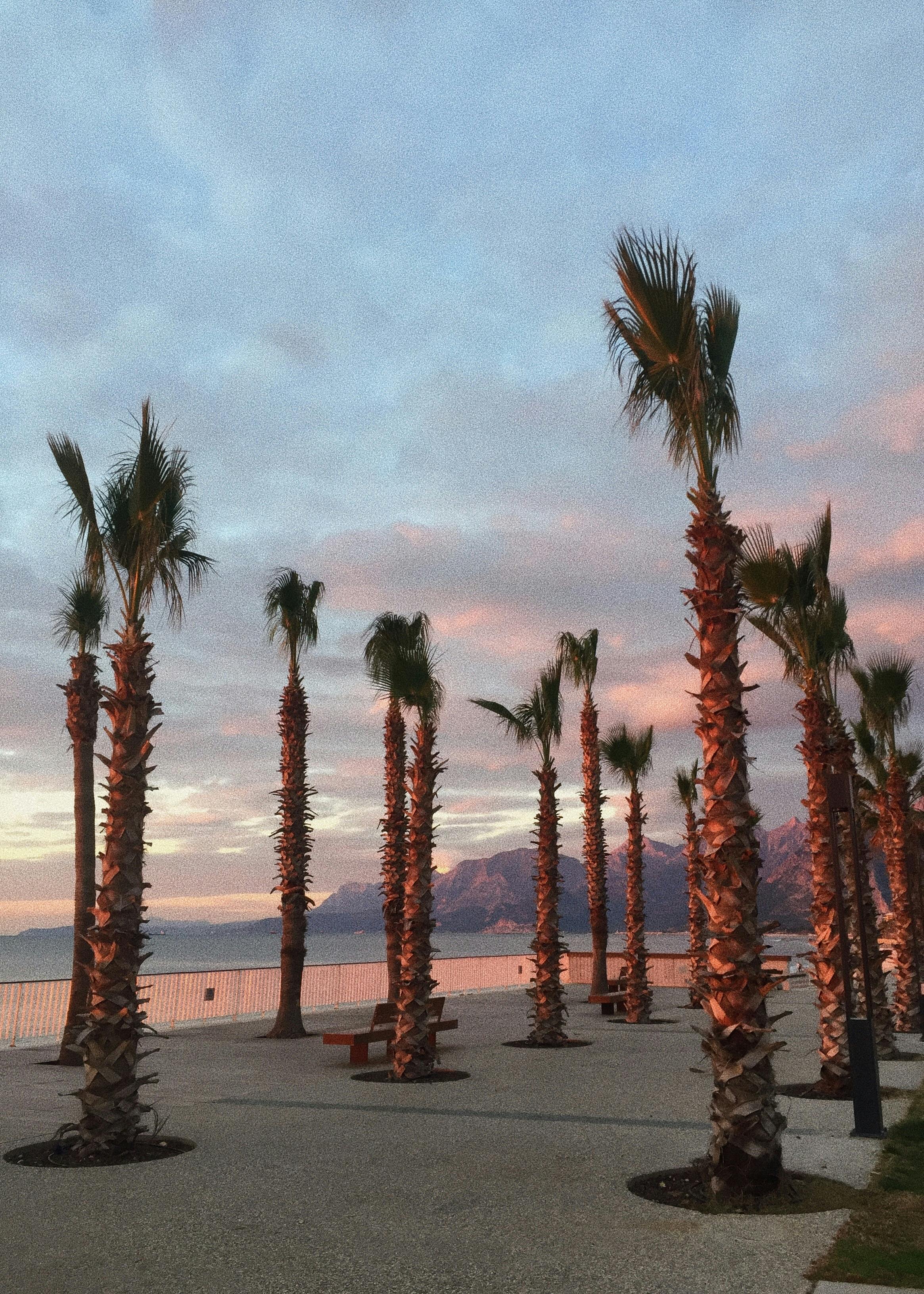 חופשה ליד טיילת קיסריה: חוויית נופש מושלמת על חוף הים התיכון