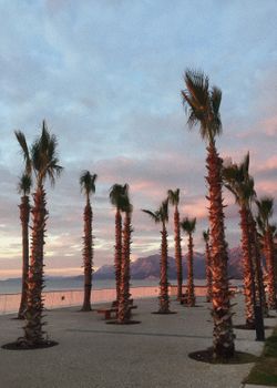 Palm trees line a seaside promenade at sunset with a mountain backdrop.