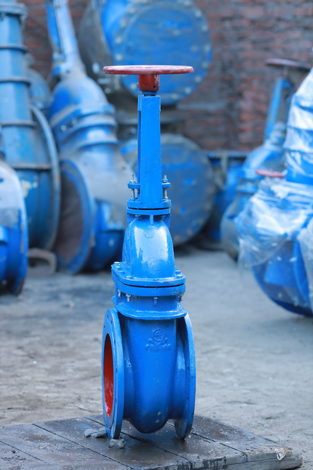 Industrial flow switch