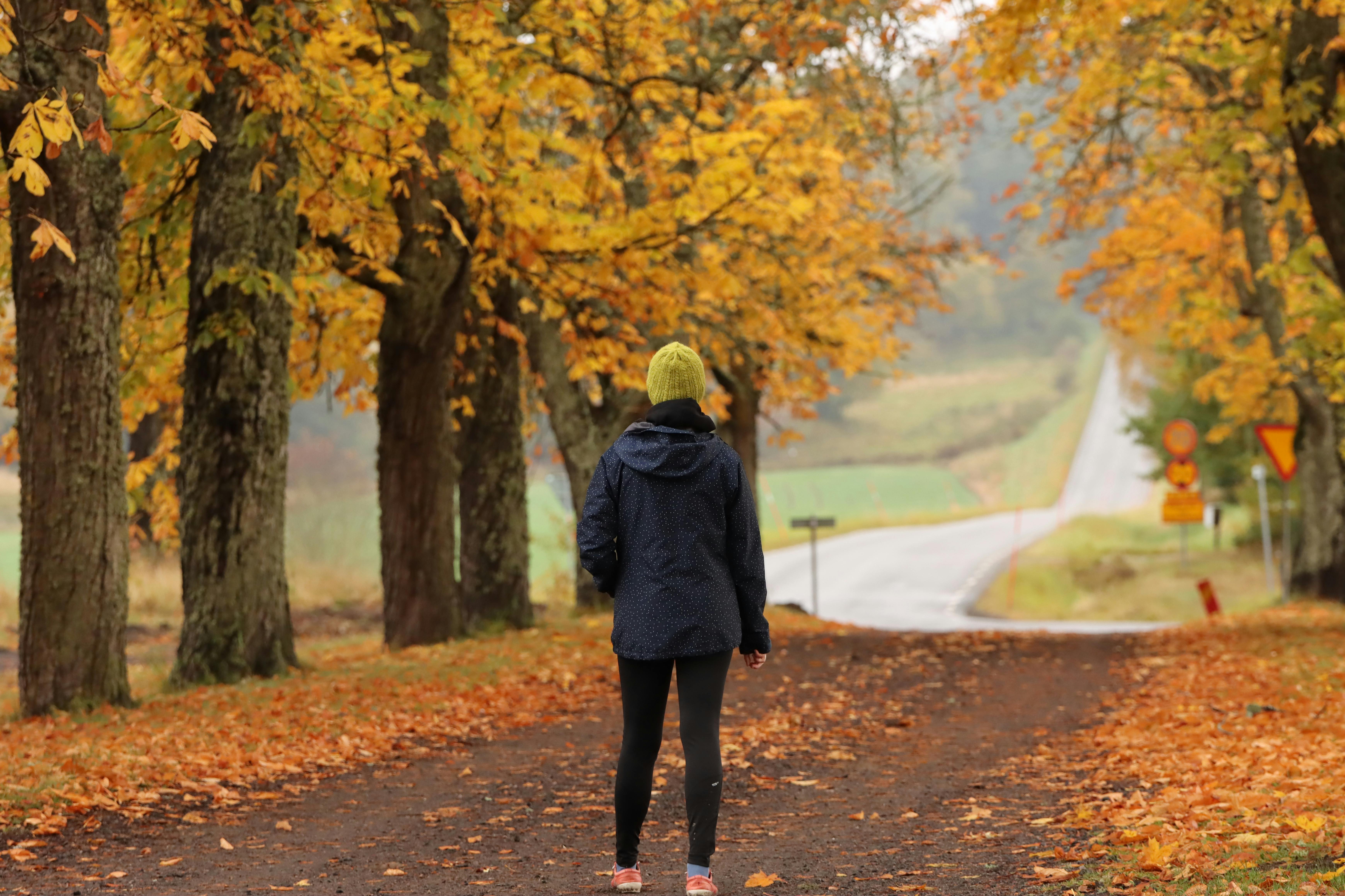 person walking on leaf covered road in autumn