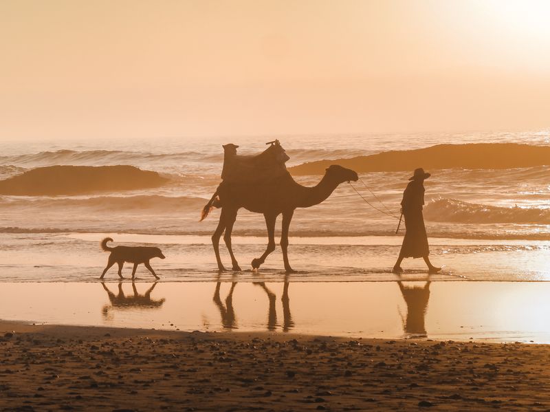 Morocco Atlantic coast landscape