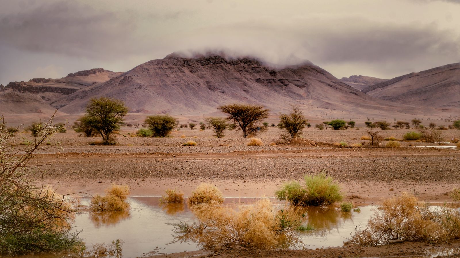 Stunning desert landscape with mountain background, Djibouti