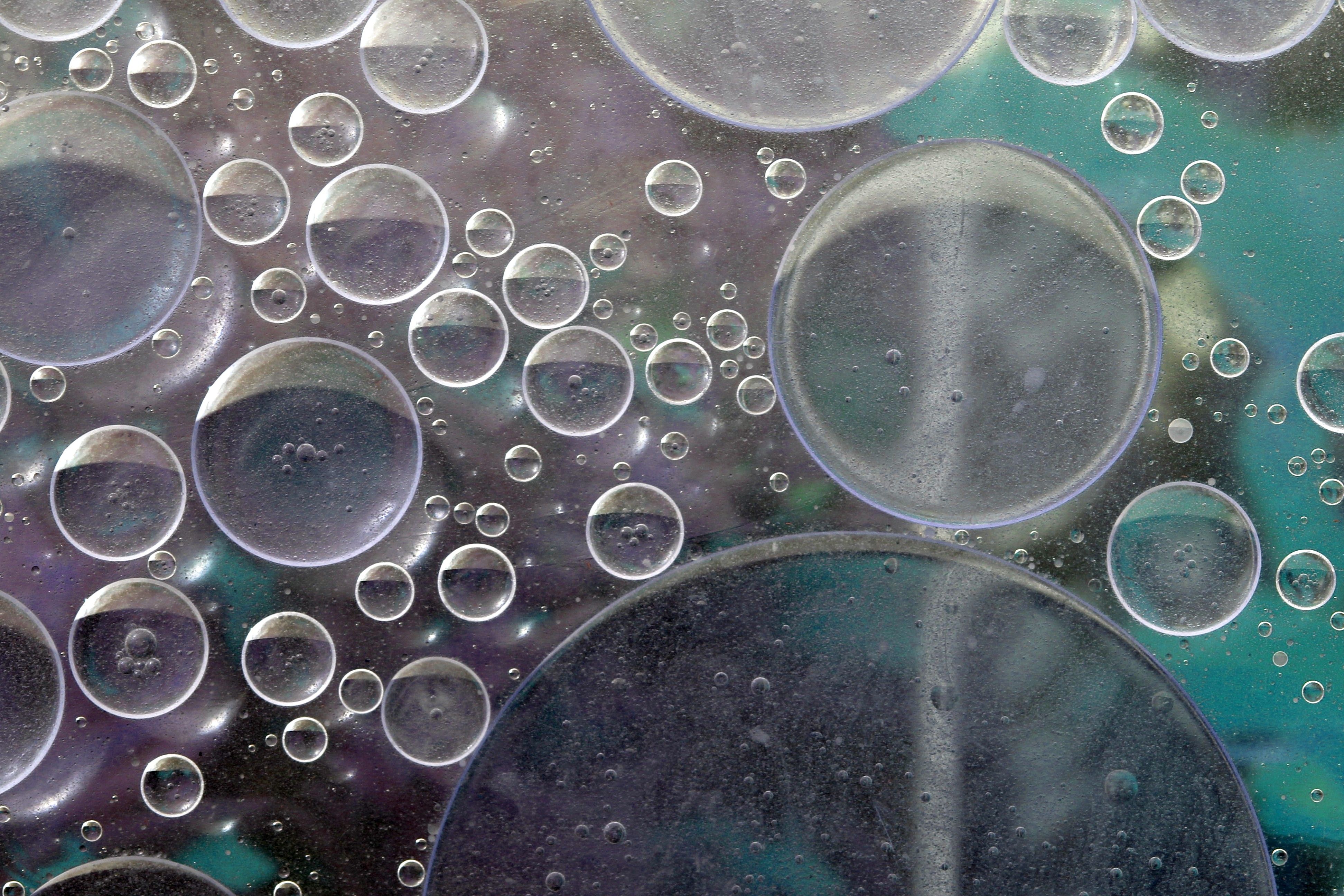 liposomal encapsulation technology nutrient delivery