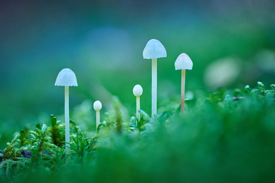 Environmentally Friendly Cleaning Methods