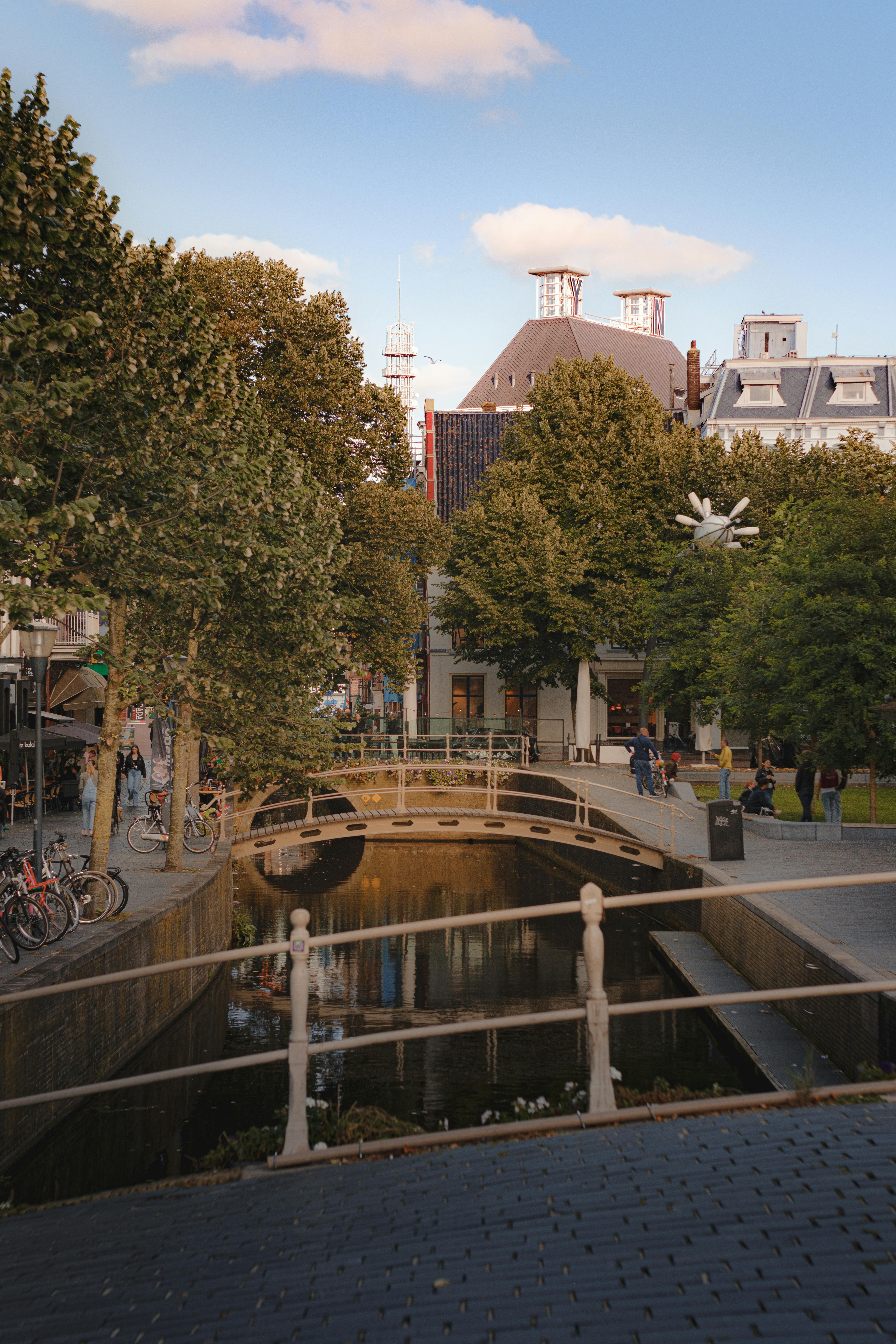 charming canal view in leeuwarden cityscape