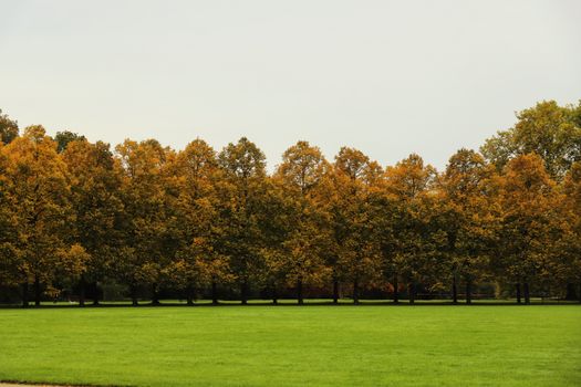 A peaceful autumn scene featuring a row of trees with vibrant golden leaves in a park.