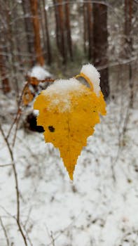 A vibrant yellow leaf covered in snow hangs in a snowy winter forest setting.