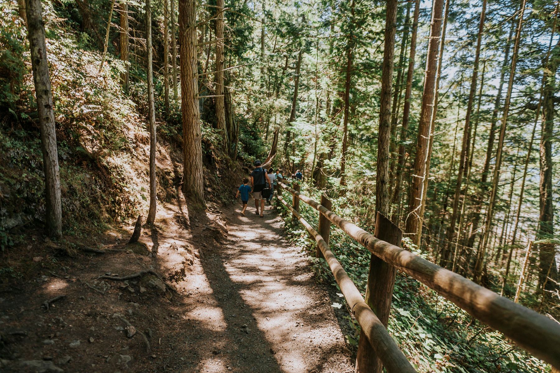 Family hiking together on a forest trail